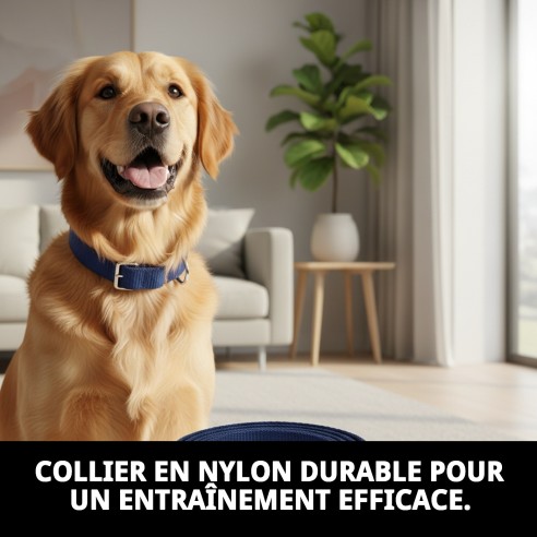 Collier en nylon pour dressage 85x2,5 cm - Qualité et Style