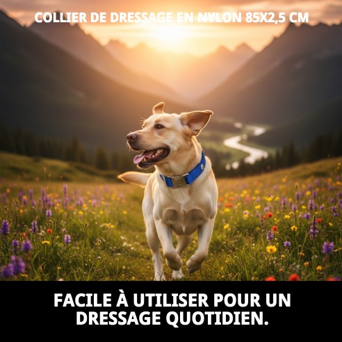Collier en nylon pour dressage 85x2,5 cm - Qualité et Style