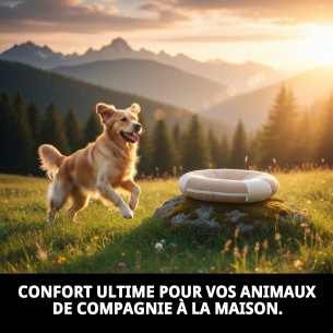 Coussin 45x32 cm pour animaux de compagnie, confortable et lavable. 2