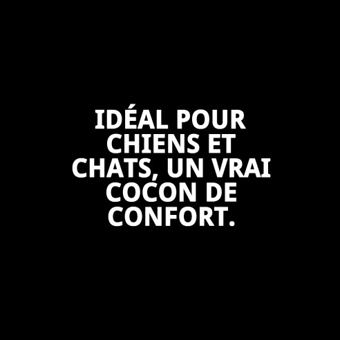 Coussin 45x32 cm pour animaux de compagnie, confortable et lavable.