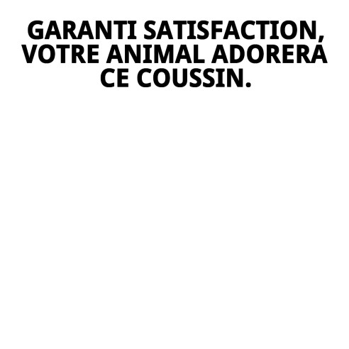 Coussin 45x32 cm pour animaux de compagnie, confortable et lavable.