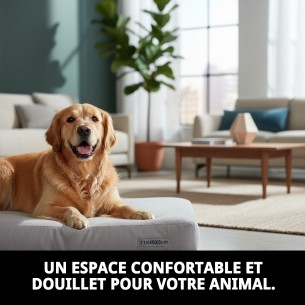 Coussin N.4 71x48x3cm pour Animaux - Confort et Style 2