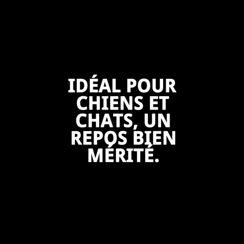 Coussin N.4 71x48x3cm pour Animaux - Confort et Style