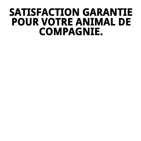 Matelas 80x60x12cm pour Animaux - Confort et Style