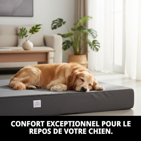 Matelas 105x70x12cm : Confort pour votre chien