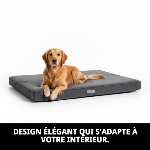 Matelas 105x70x12cm : Confort pour votre chien