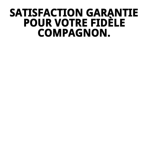 Matelas 105x70x12cm : Confort pour votre chien