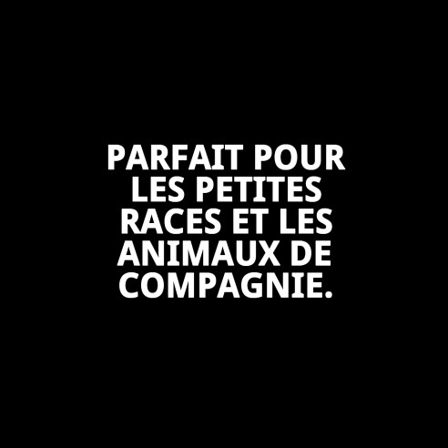 Coussin Perla N.2 45x30x3 cm : Confort pour votre animal de compagnie