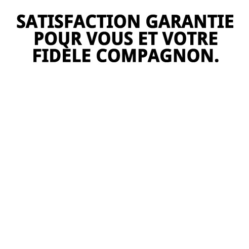 Coussin Perla N.2 45x30x3 cm : Confort pour votre animal de compagnie