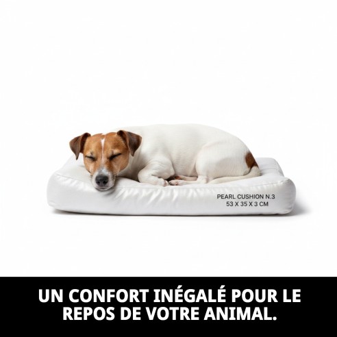 Coussin Perla N.3 53x35 cm : Confort pour votre Animal de Compagnie