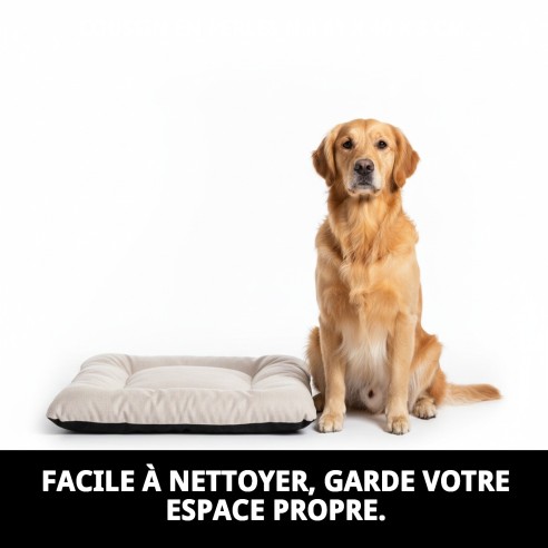 Coussin Perla N.4 pour Animaux 61x40 cm - Confort et Style