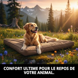 Matelas en velours 90x60x10 cm : Confort pour votre animal de compagnie. 2