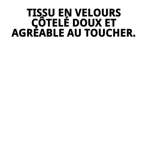 Matelas en velours 90x60x10 cm : Confort pour votre animal de compagnie.