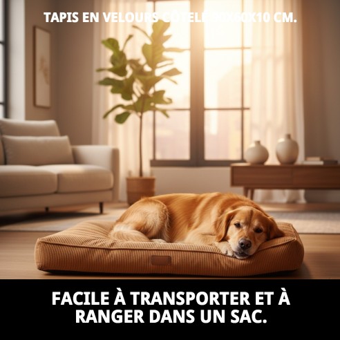 Matelas en velours 90x60x10 cm : Confort pour votre animal de compagnie.