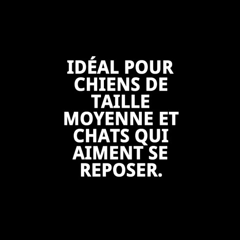 Cuna en plastique N.6 pour animaux de compagnie - 99x60x37 cm Idéal