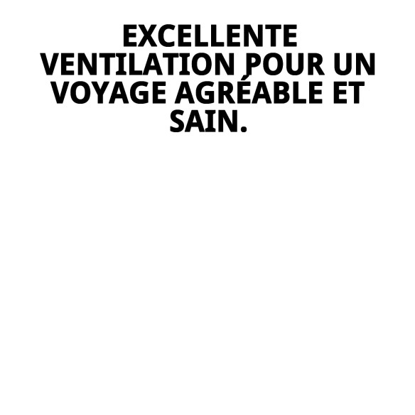 Transporteur Mini Gulliver : Sécurité et Confort pour Animaux de Compagnie