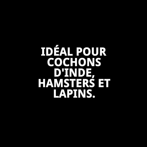 Transporteur Mini Gulliver : Sécurité et Confort pour Animaux de Compagnie