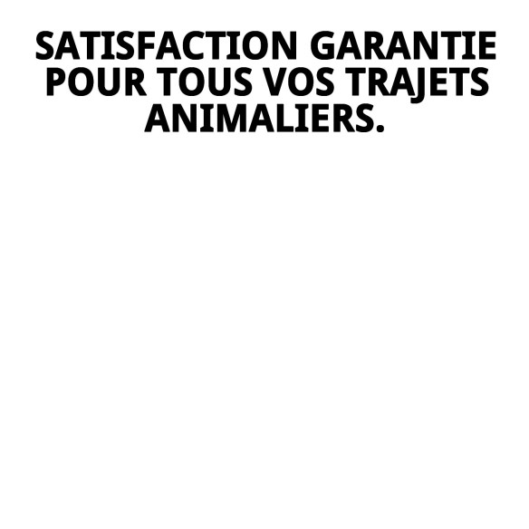 Transporteur Mini Gulliver : Sécurité et Confort pour Animaux de Compagnie