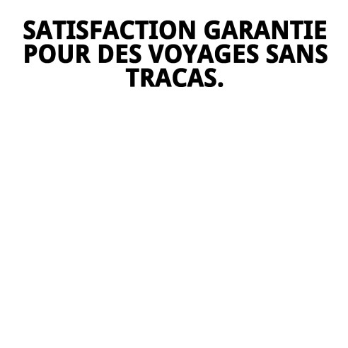 Ensemble de 4 roues 360° pour transporteurs Gulliver 1-2-3