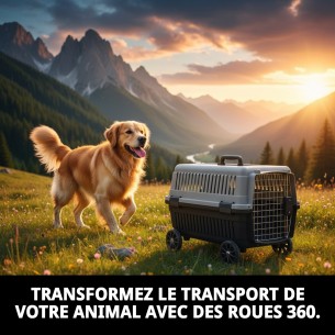 Ensemble de 4 Roues Gulliver 360 pour Transporteurs et Accessoires 2