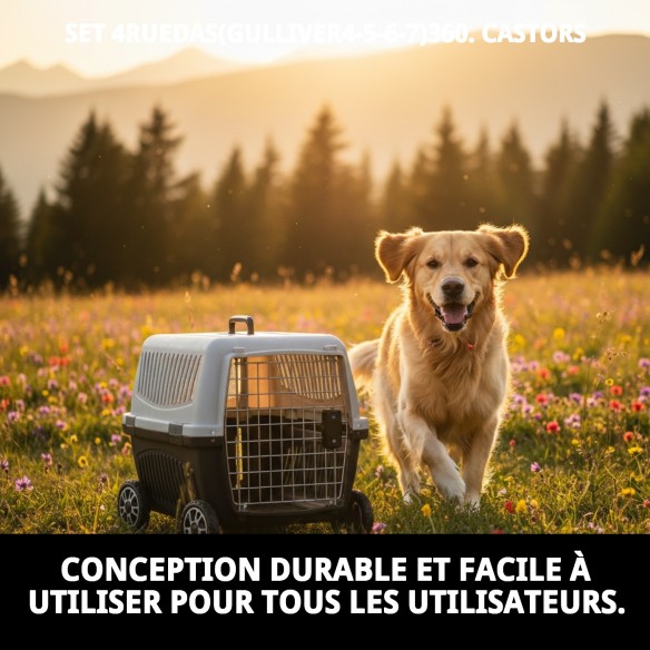 Ensemble de 4 Roues Gulliver 360 pour Transporteurs et Accessoires