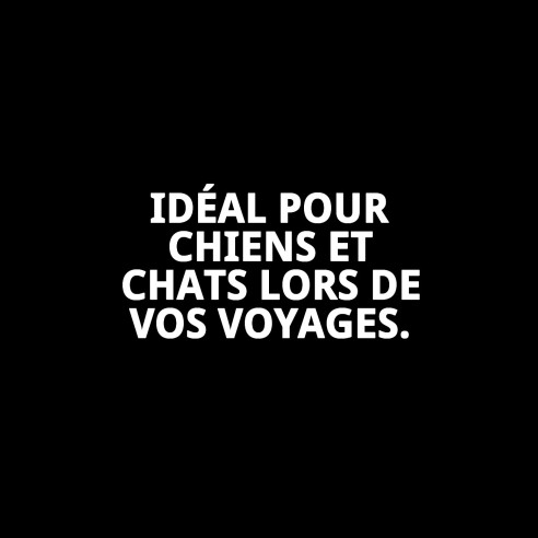 Transporteur Gulliver Basic N.3 pour Animaux de Compagnie 61x40x38 cm