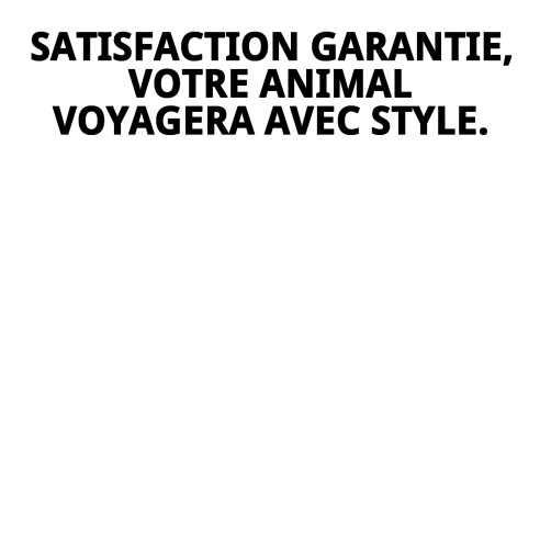 Transporteur Gulliver IATA N.4 pour chiens jusqu'à 18 kg.
