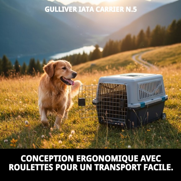 Transporteur Gulliver IATA N.5 pour chiens de 25-30 kg.