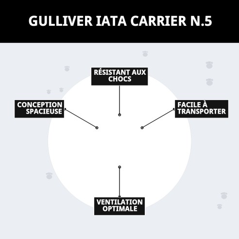 Transporteur Gulliver IATA N.5 pour chiens de 25-30 kg.