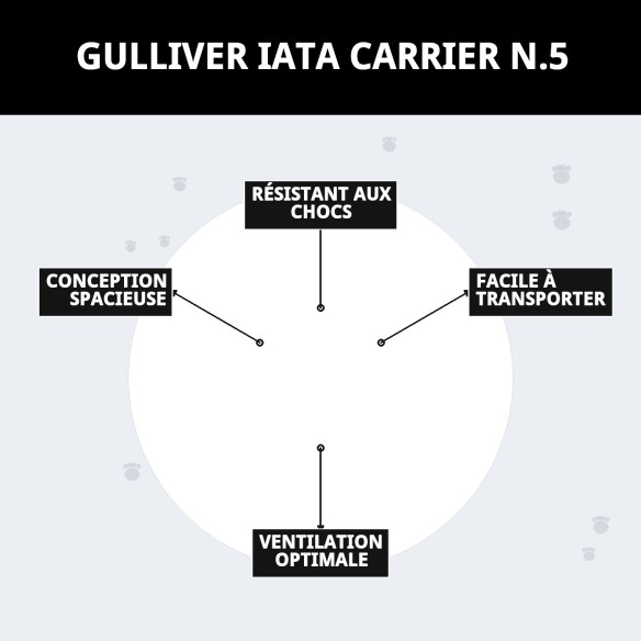 Transporteur Gulliver IATA N.5 pour chiens de 25-30 kg.