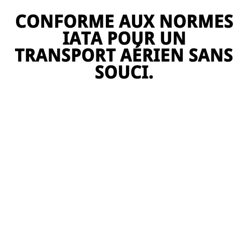 Transporteur Gulliver IATA N.6 : Confort et Sécurité pour Animaux de Compagnie