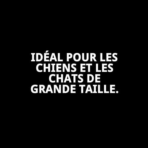 Transporteur Gulliver IATA N.6 : Confort et Sécurité pour Animaux de Compagnie