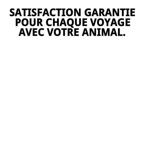 Transporteur Gulliver IATA N.6 : Confort et Sécurité pour Animaux de Compagnie
