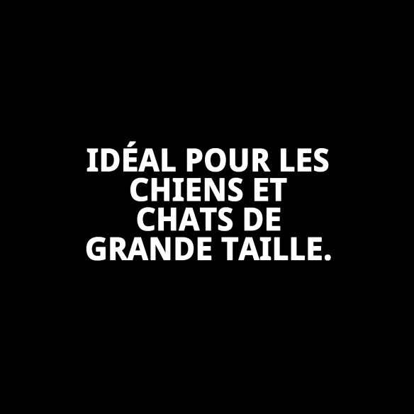 Transporteur Gulliver IATA N.7 - Confort et Sécurité pour Animaux de Compagnie