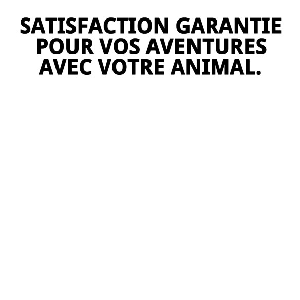 Transporteur Gulliver N.2 : Confort et Sécurité pour Animaux de Compagnie