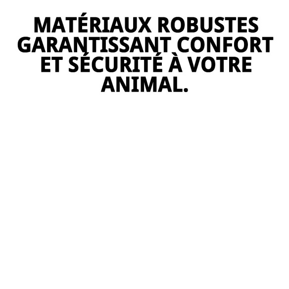 Transporteur Gulliver Touring IATA 80x58x62 cm pour Animaux de Compagnie