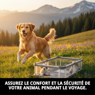 Séparateur de Transporteur Touring : Confort et Sécurité pour votre Animal de Compagnie 2