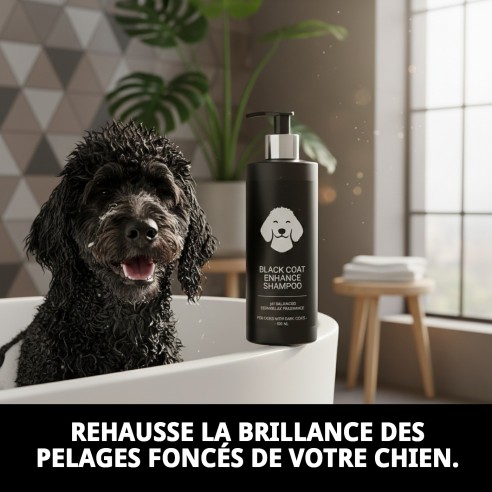 Shampoo pour Poils Noirs 500 ml - Brillance et Couleur Intense pour Chiens
