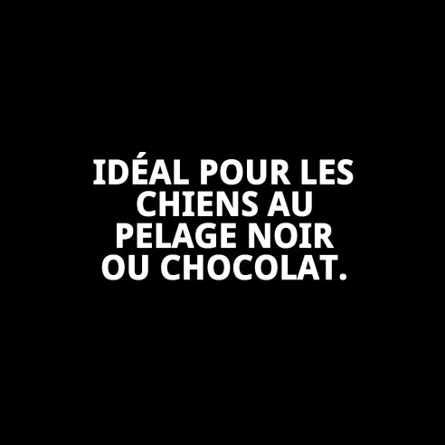 Shampoo pour Poils Noirs 500 ml - Brillance et Couleur Intense pour Chiens