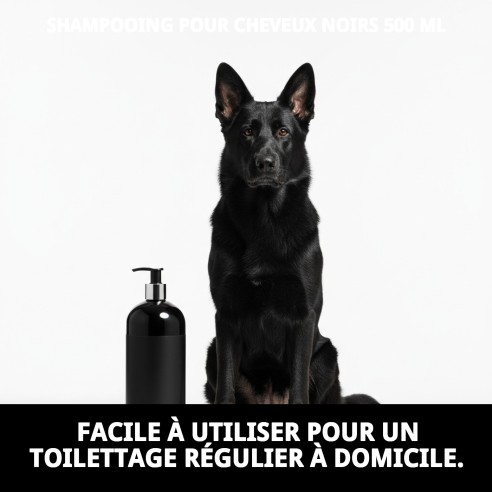Shampoo pour Poils Noirs 500 ml - Brillance et Couleur Intense pour Chiens