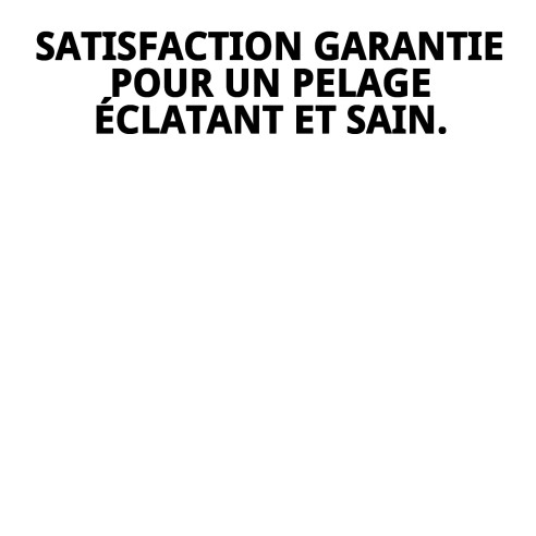 Shampoo pour Poils Noirs 500 ml - Brillance et Couleur Intense pour Chiens