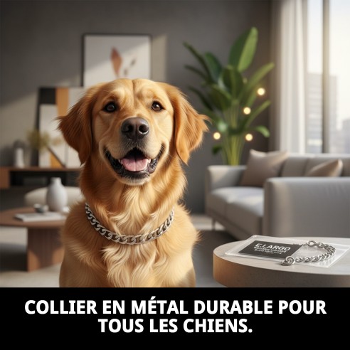 Collier en chaîne métallique pour chiens - 60 cm x 4 mm