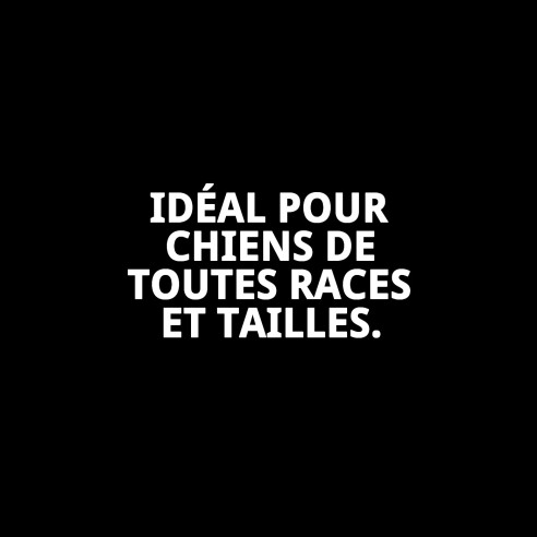 Collier en chaîne métallique pour chiens - 60 cm x 4 mm