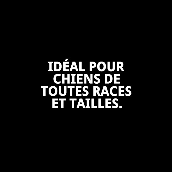 Collier en chaîne métallique pour chiens - 60 cm x 4 mm