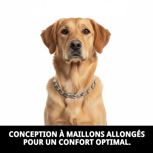 Collier en chaîne métallique pour chiens - 60 cm x 4 mm