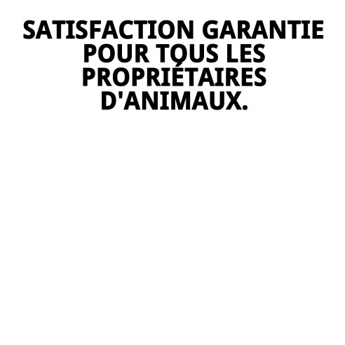 Collier en chaîne métallique pour chiens - 60 cm x 4 mm