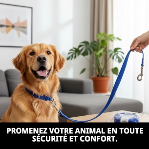 Ramal en Nylon Confort 120 cm x 2 cm pour Animaux Actifs 2