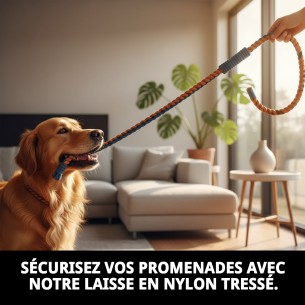 Rame en nylon tressé 160 cm x 1,5 cm pour animaux de compagnie 2