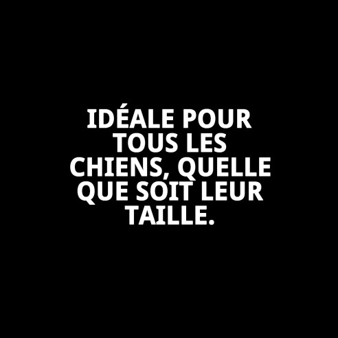 Rame en nylon tressé 160 cm x 1,5 cm pour animaux de compagnie