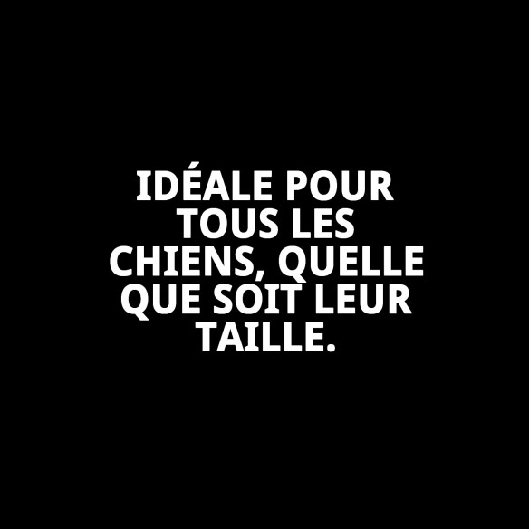 Rame en nylon tressé 160 cm x 1,5 cm pour animaux de compagnie